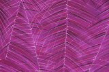 paarse print